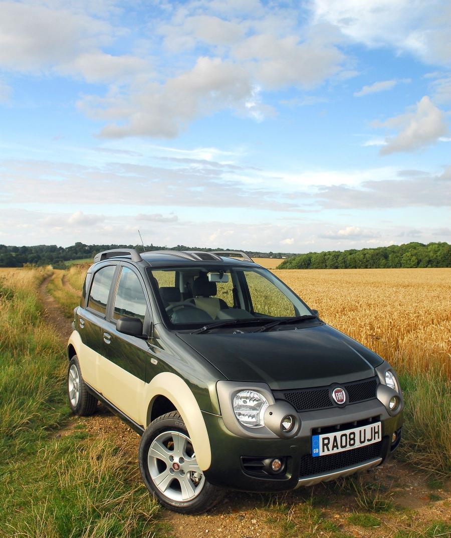  Fiat Panda Cross 2008 года  (фото 11 из 19)